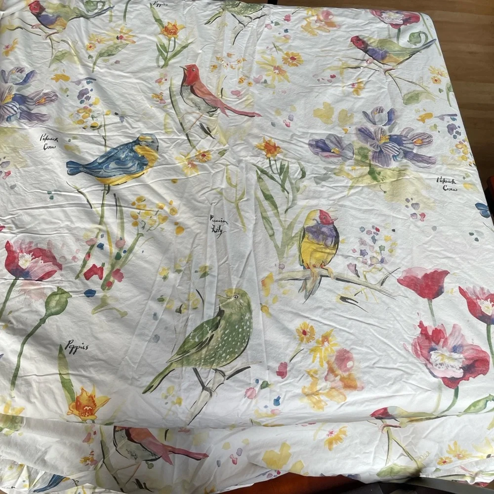 Pottery Barn Painterly Bird Duvet Cover full/queen